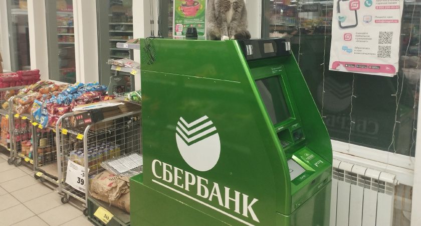 Тех, у кого на вкладе больше 200 000 рублей, предупредили: проценты массово обнулят — начнут с 4 июля