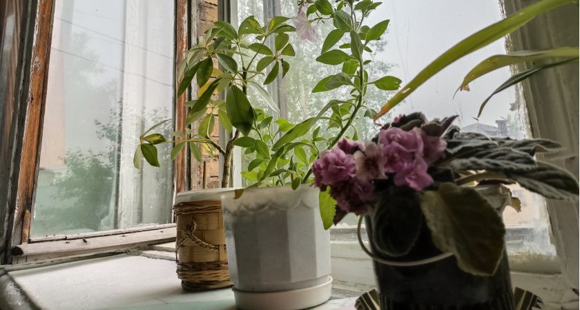 Домашние вампиры: шесть вещей в доме, которые крадут ваше здоровье день за днем