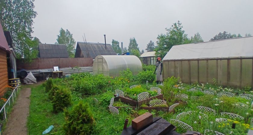 Обнаружил идеальный способ закрыть дорожки между грядок в огороде - почти бесплатно и сорняки больше не "лезут"