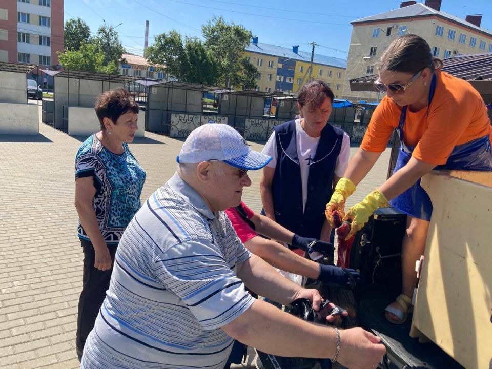 На ярмарочной площади раздают головы горбуши: желающих не счесть