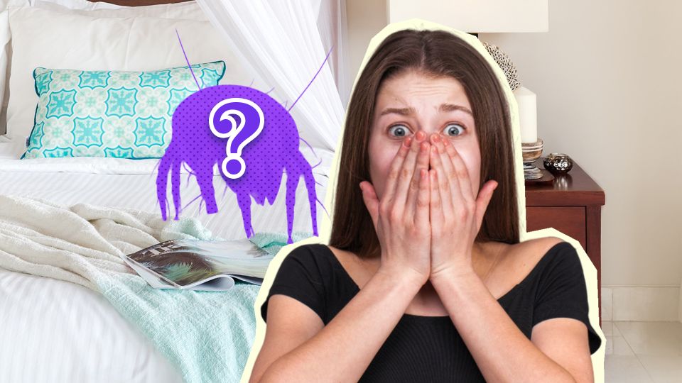 «Укусов не оставляет»: россиян предупредили о жуткой напасти