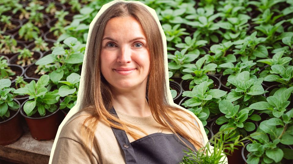 С этой домашней подкормкой навсегда забудете о хилой рассаде: стоит копейки