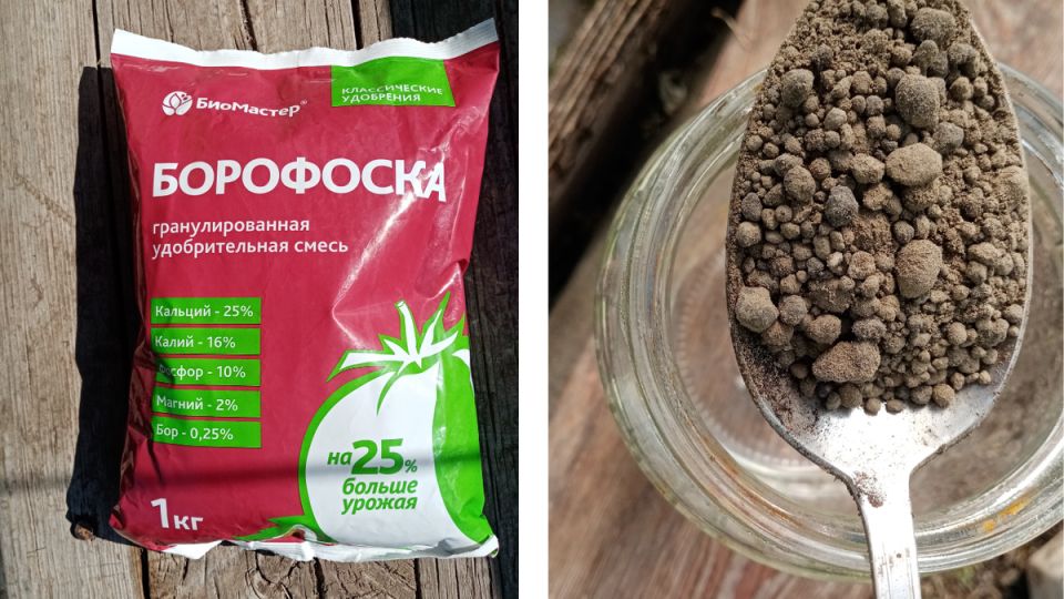 Как увеличить урожай овощей и ягод на 25% с помощью простого удобрения