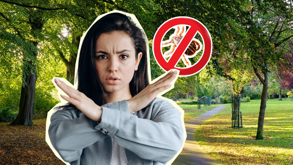 Эти запахи притягивают клещей: запомните, чтобы не стать мишенью