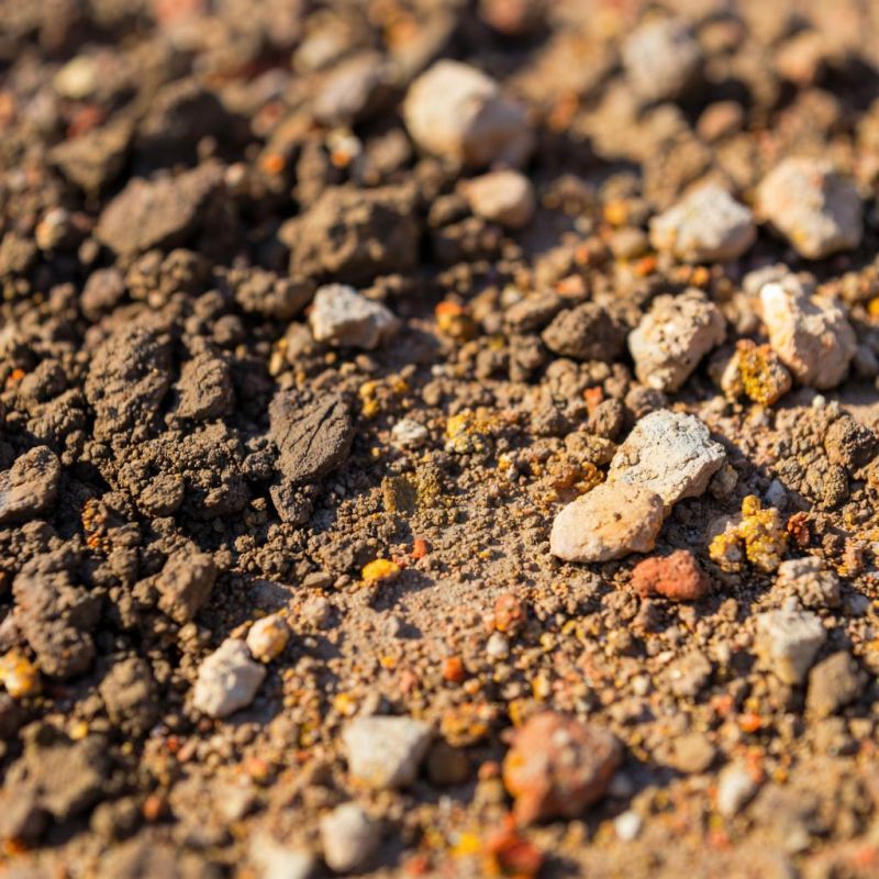 ��� ������� ����� ���������� ����� �� ���� �����: ������� �������������� ����������