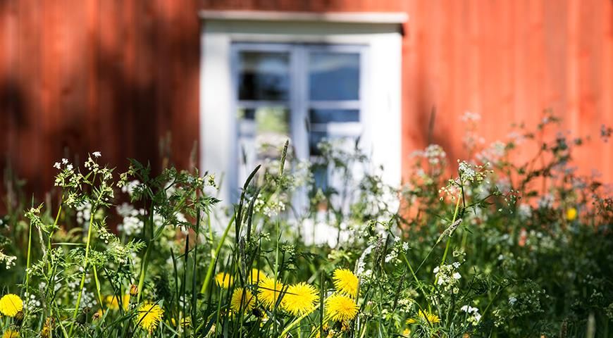 ������ ���������� ������� �����: ��� �� ������� �� ����� �� ����������