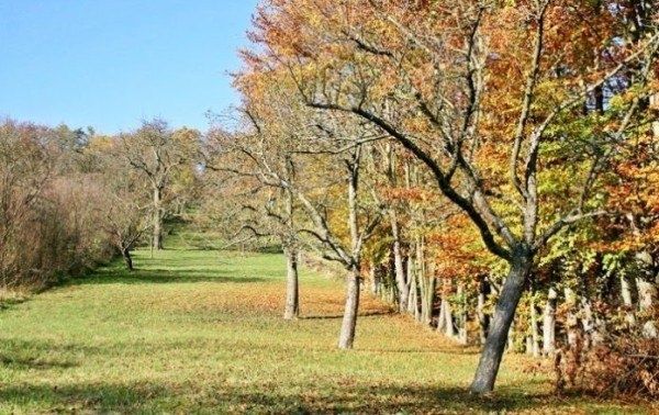 ������ ������� ��������� ����� ��� �������� ��������