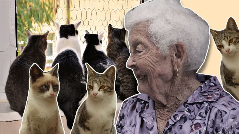 �������� � ��������: ��� �������� ����� ���������� �������� �������� ������