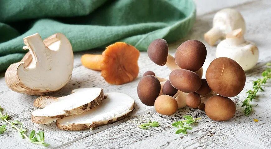 ������� ��������� ����� ������ �� ���������