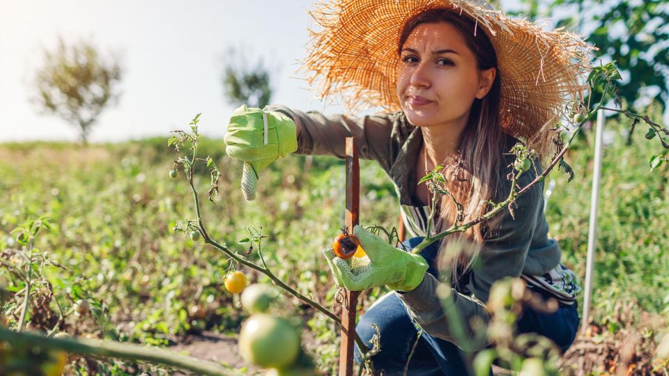 �� ������� �������� ���������� � ����� ������: ������ 99% �������� ����� ������ ������