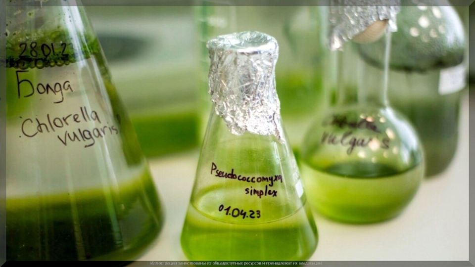 ��������� � ������: ����������� ������� ��� ���������