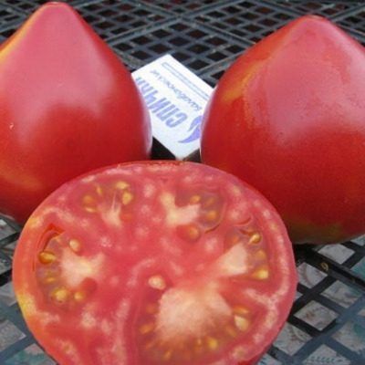 ����� ����������� ��������: ������������ ��������� ��� ��������� � ��������