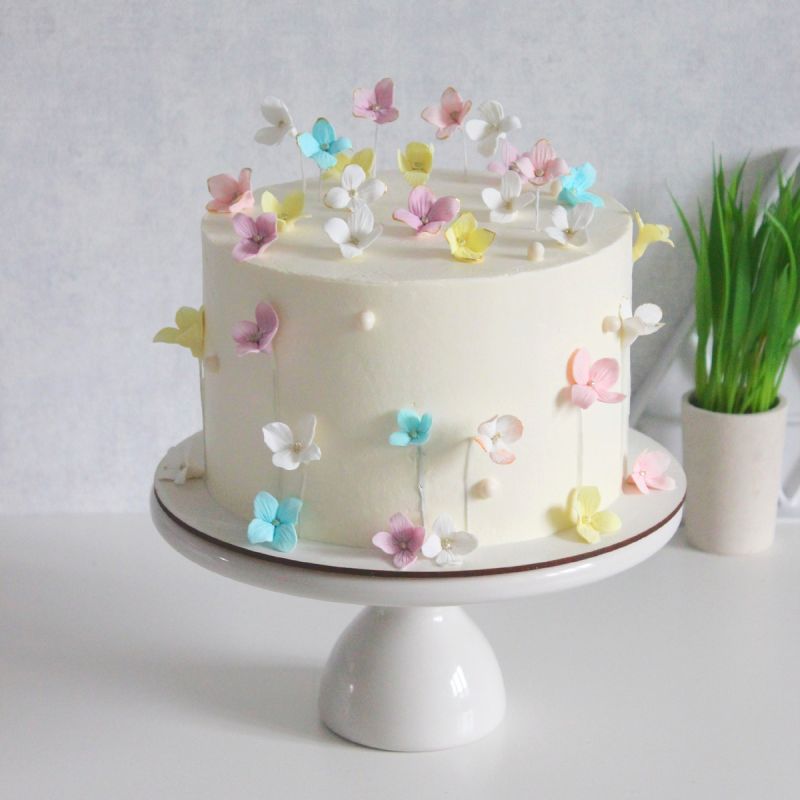 ��� ����� �������� ��������� � 2026 ����