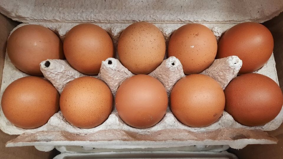 ������ ������� ���� ����� ���� �� ������ ���������: ������� ������ ����������� ��������