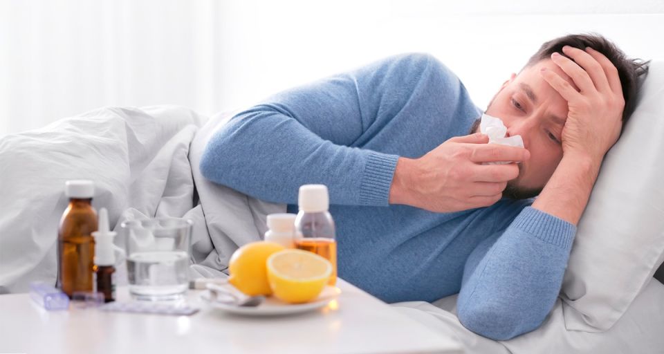 ������ �� ��������������: �������� ������ ���������� � �������� �������