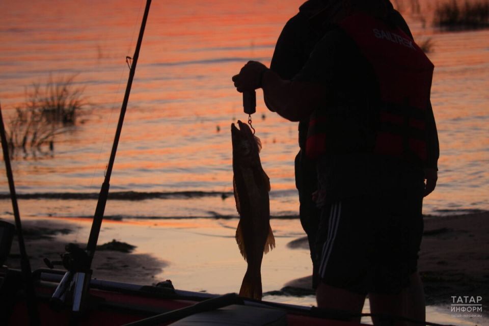 ��� ��������� ������� ������ �� ���� ���� � ������