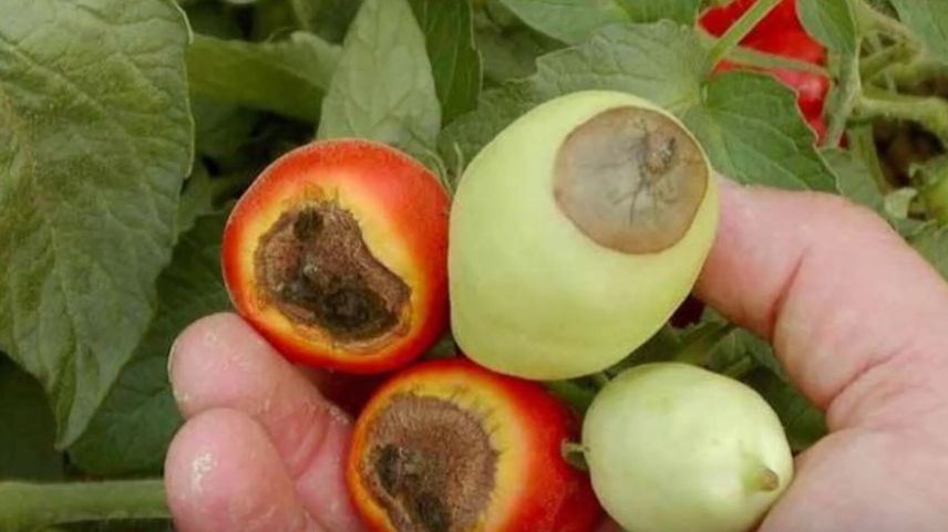 ������ ��������� ����� ������� ������ � ������ ����?