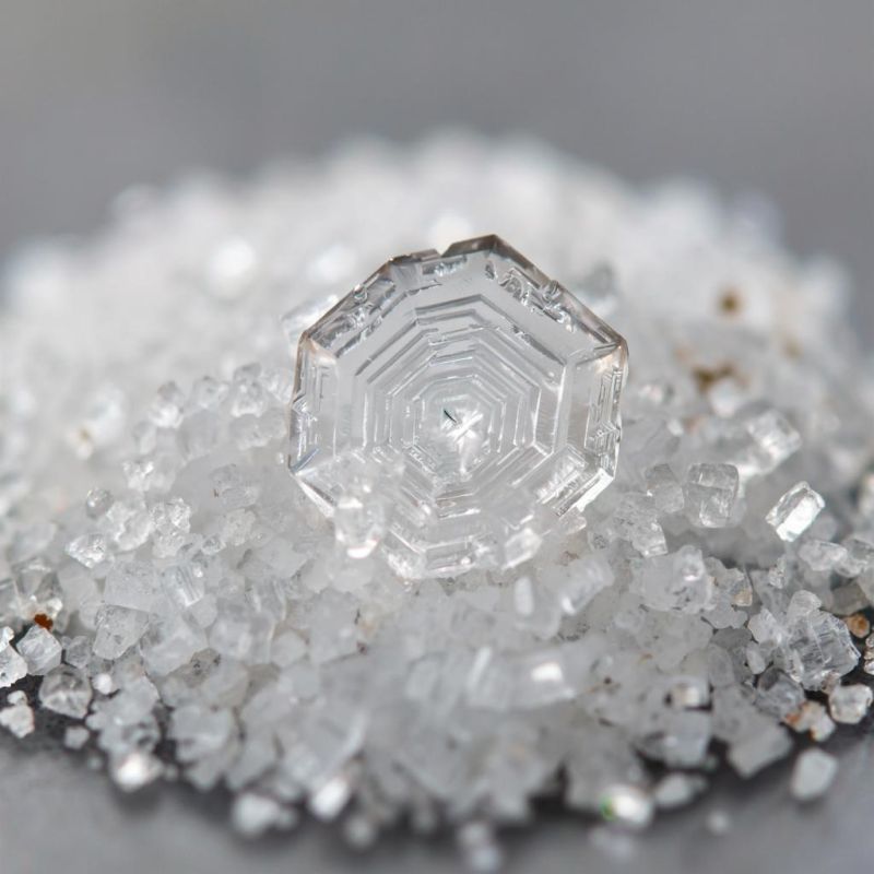 ��� ���������� ���� ����� ������ �������� � �������� ������: ������������ ������� ���������