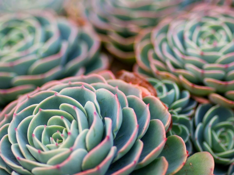 ������ ���� ���������� ������� � �����: ������� ���������� ������� ��������