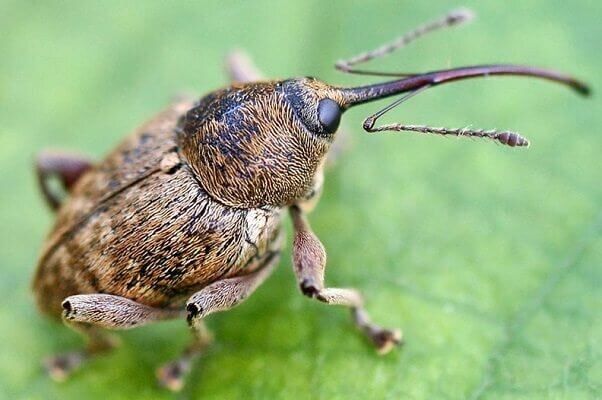 �������� �����������: ��� �������� ��������� ��� �� ��������