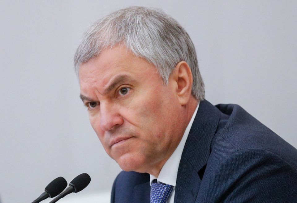 Володин о суверенитете: страны игнорируют демократические рамки