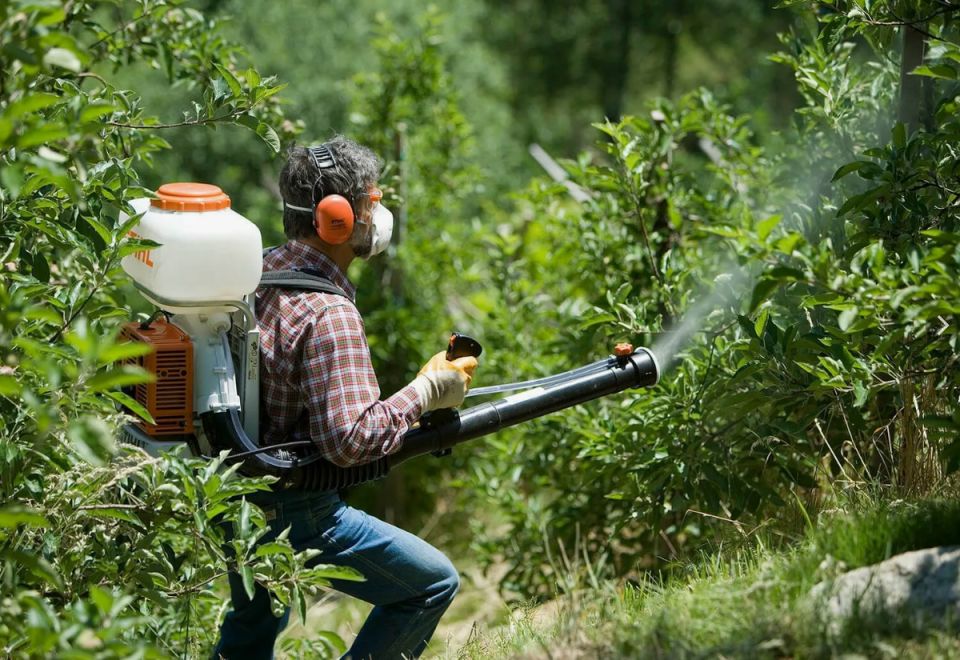 ������ ��������� � ������������� ��������: ��� ��������, ������� ����� ���������