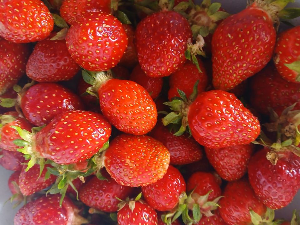 Летние десерты: вкусная клубничная шарлотка и заливной пирог