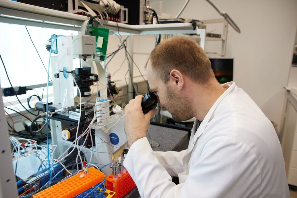 ���������������� �����: ��� ����� ������� ������������ ����������� ������� � ��������� ������������