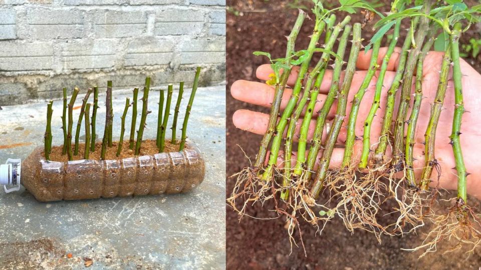 ����� ������������� �� ������� ���, ���� ����� ��������� ������� ����