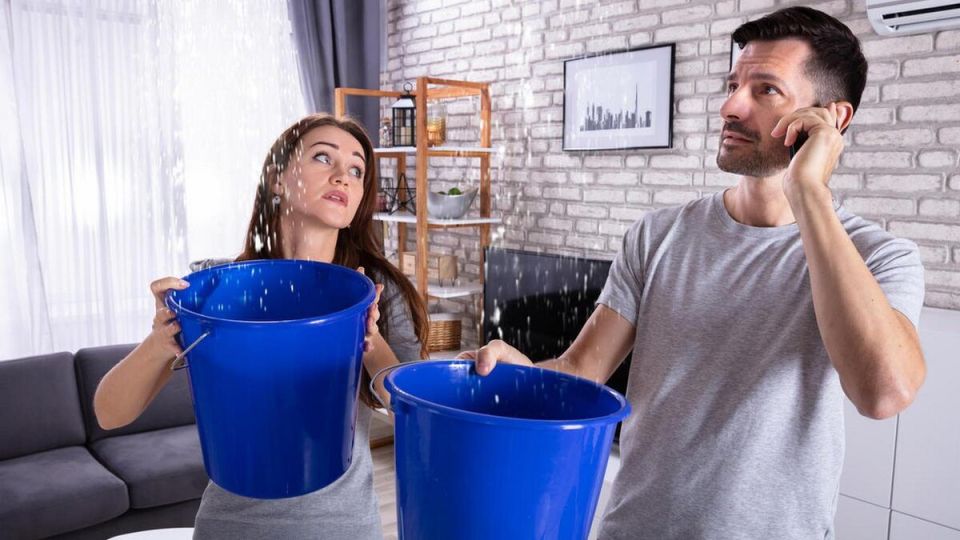 ��� �������� ���� ����� ��� ���������� ������: �������� ������������������ ��������