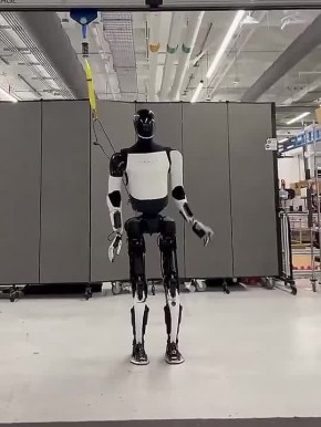       Optimus