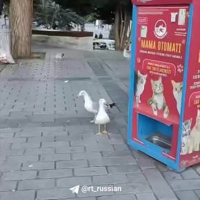    ,       