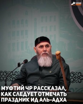 14     -   ,  ,   - ,         -