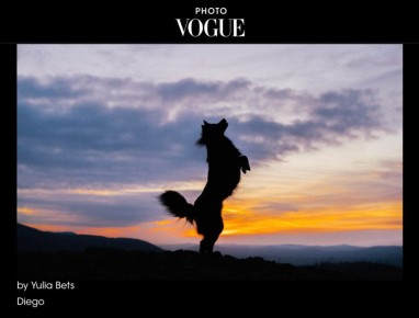        VOGUE            ,     