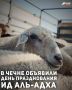 Советник Главы Чеченской Республики, Председатель Координационного центра мусульман Северного Кавказа, муфтий ЧР Салах-Хаджи Межиев объявил дату празднования Ид аль-Адха