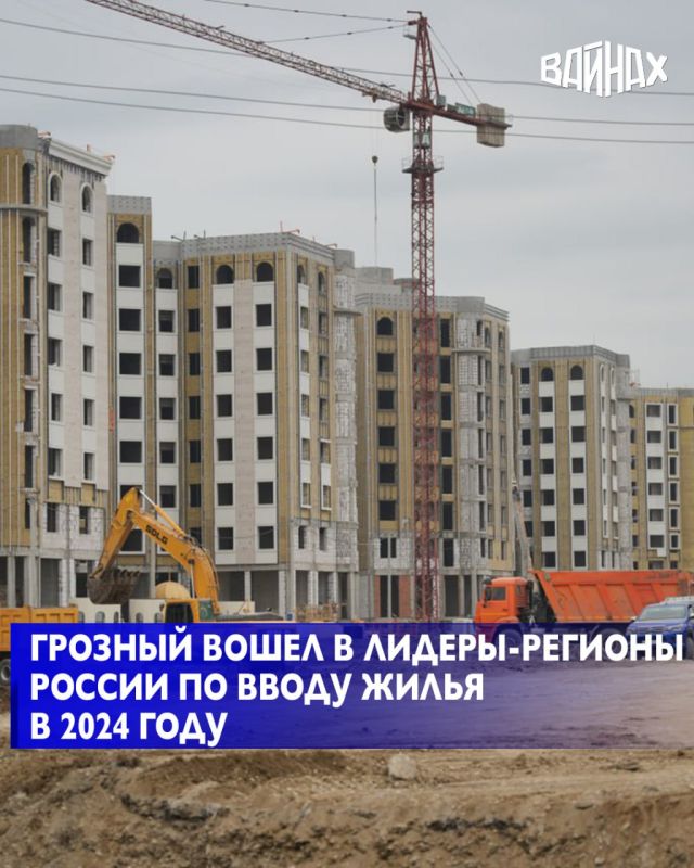      -3  -      2024 ,    
