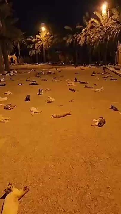     ,  ,   (8    )