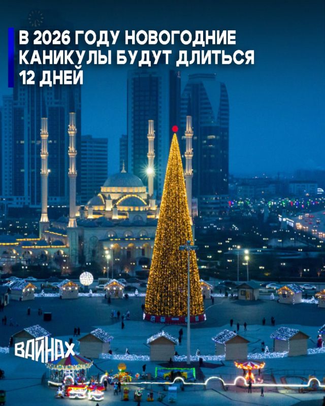   2026   12  -  31  2025   11  2026 
