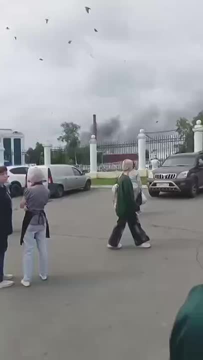         (  ),      31,  3 