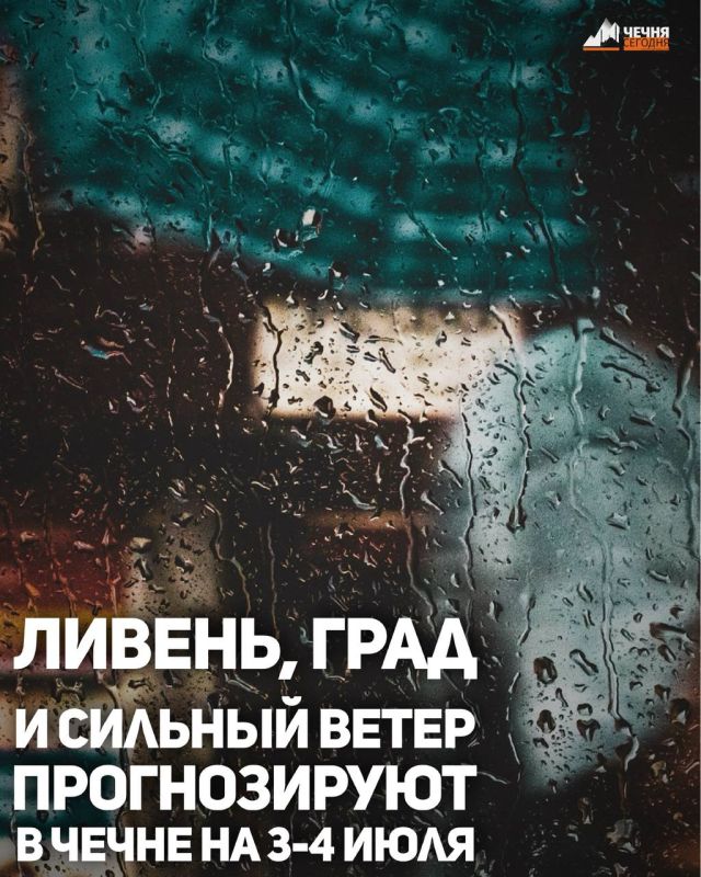    3-4     :  ,     ,     20-25 /