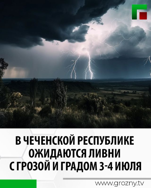    ,      3 ,     4       , ,  ,     2025 /