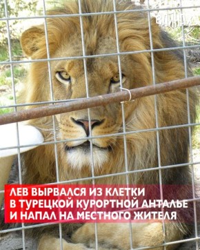 ,            ,    ,        ,   Hrriyet
