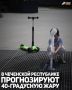  10  13           40-41 C.             -