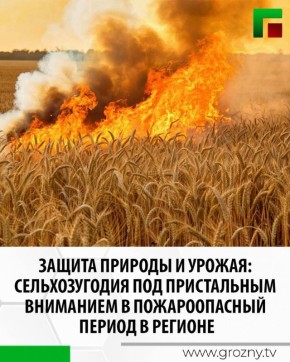        ,    ,      