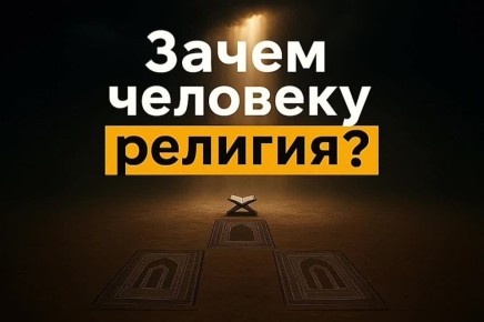   ?.     ,     ,           