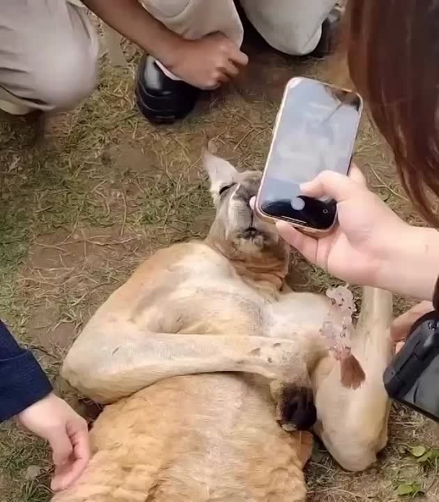   ,    ,   