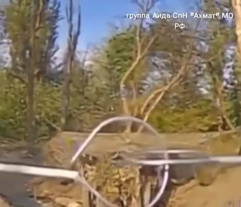        FPV-   