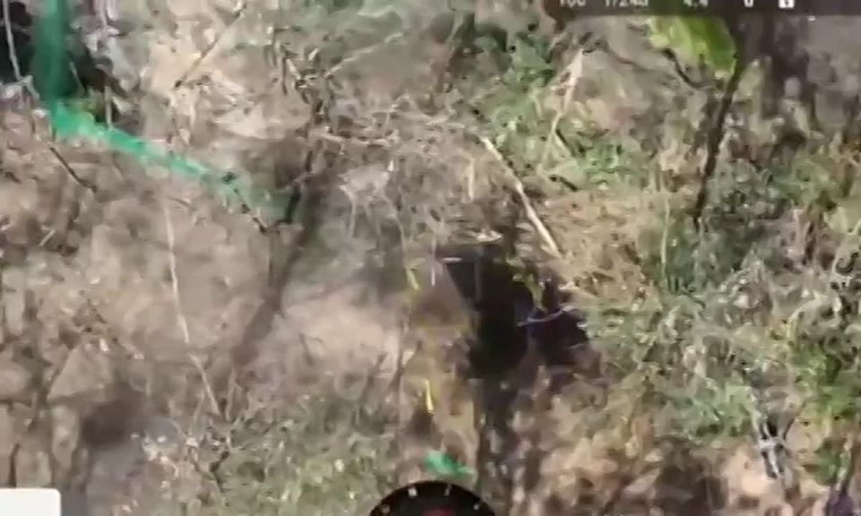  :          