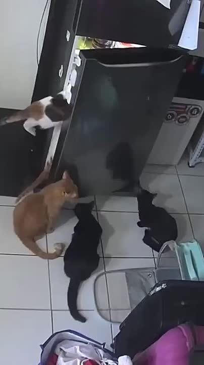  ,       ,       