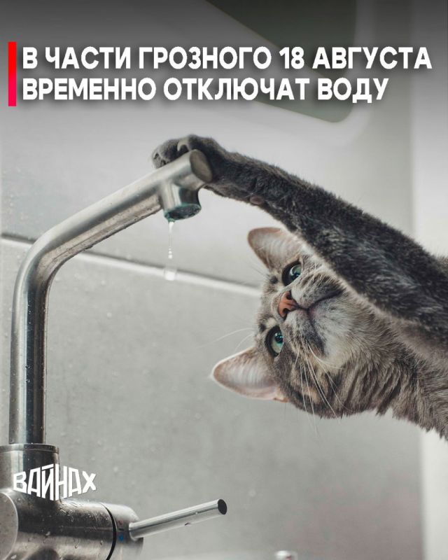  , 18 ,  9:00  17:00             315    .      